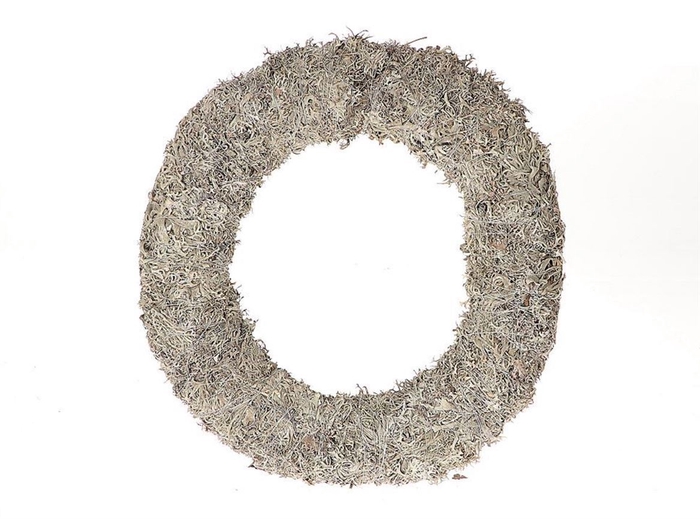 <h4>Wr Lichen Moss 40cm</h4>