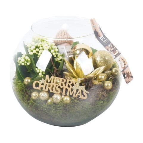 <h4>PTCHG5121 Arrangementen Kerst</h4>