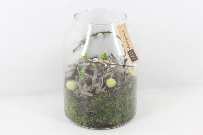 <h4>arr4 Narcis MB156 - Glas Madrid</h4>