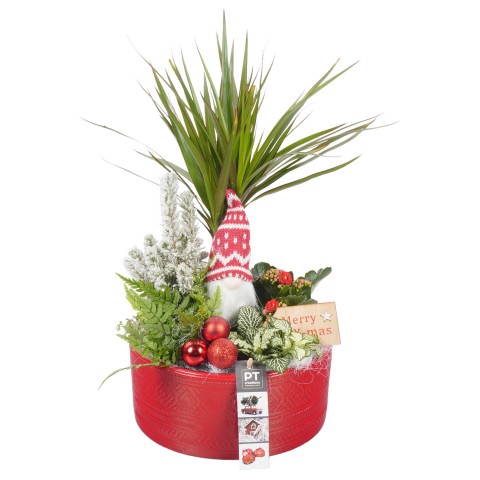 <h4>PTCHR4248 Arrangementen Kerst</h4>