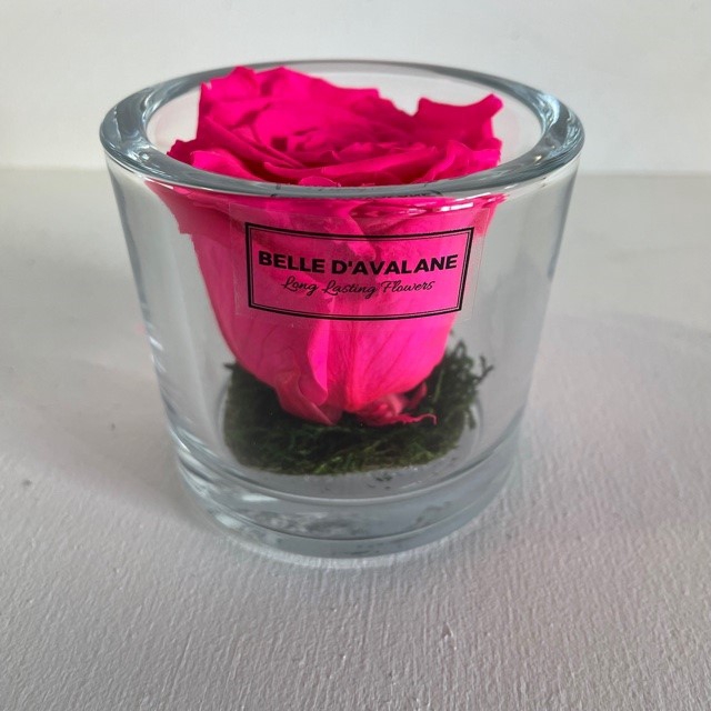 Cilinder d9x8h fuchsia roos glas