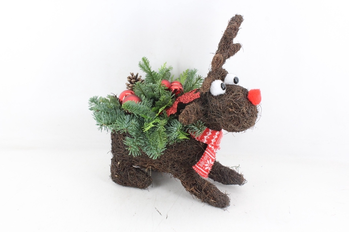 <h4>arr5 Kerst PL - Salim rudolph rood 344/3</h4>