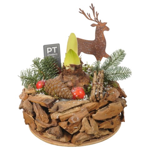 <h4>PTACH7960 Arrangementen Kerst</h4>