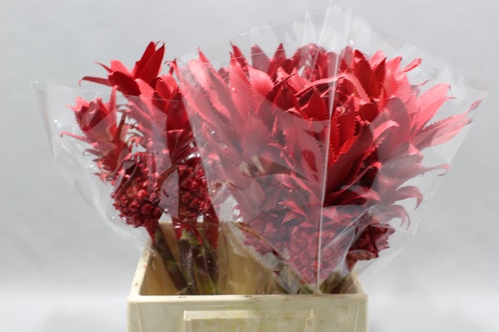 <h4>Ananas Kl Rood Geverfd</h4>