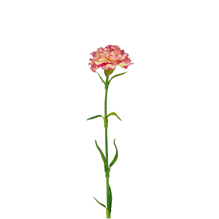 <h4>Artificial flowers Carnation 54cm</h4>