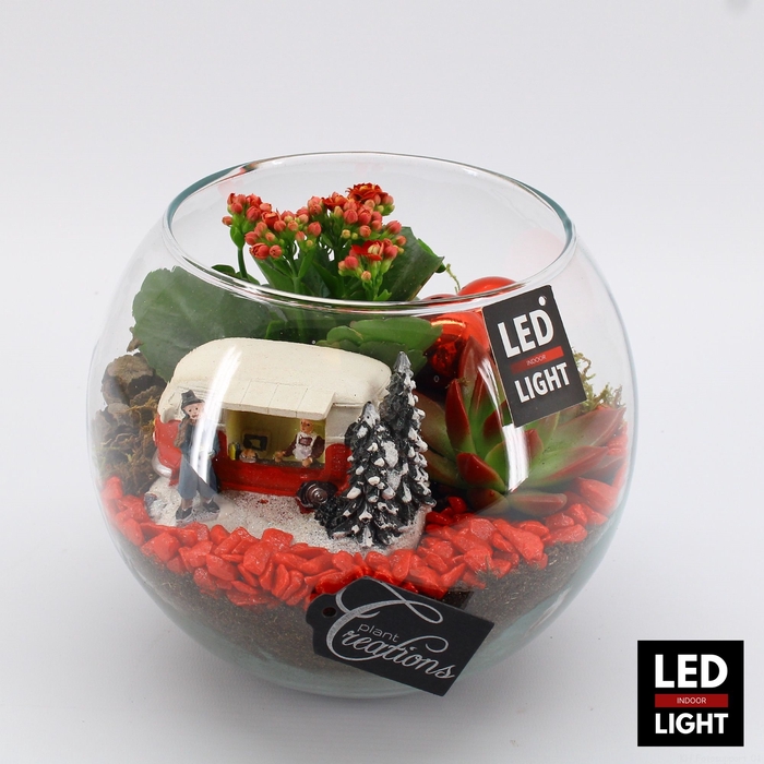 <h4>XMAS-23007LED Kerst creatie terrarium</h4>