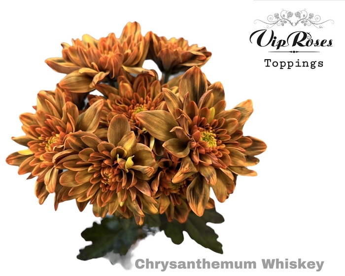 <h4>Chr T Whiskey</h4>