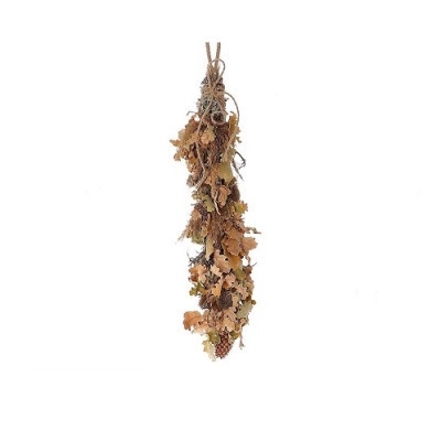 <h4>Dried articles Pampas oak hanging 60cm</h4>