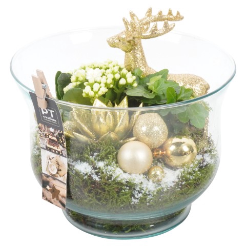 <h4>PTCHG5115 Arrangementen Kerst</h4>
