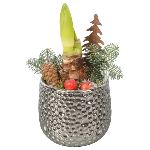 <h4>PTACH7948 Arrangementen Kerst</h4>