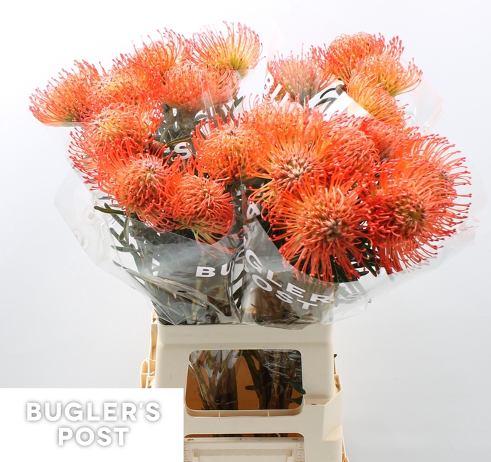 Grand Verde Small Artificial Flowers Faux Wildflower Bouquet 10pcs Set (Orange)