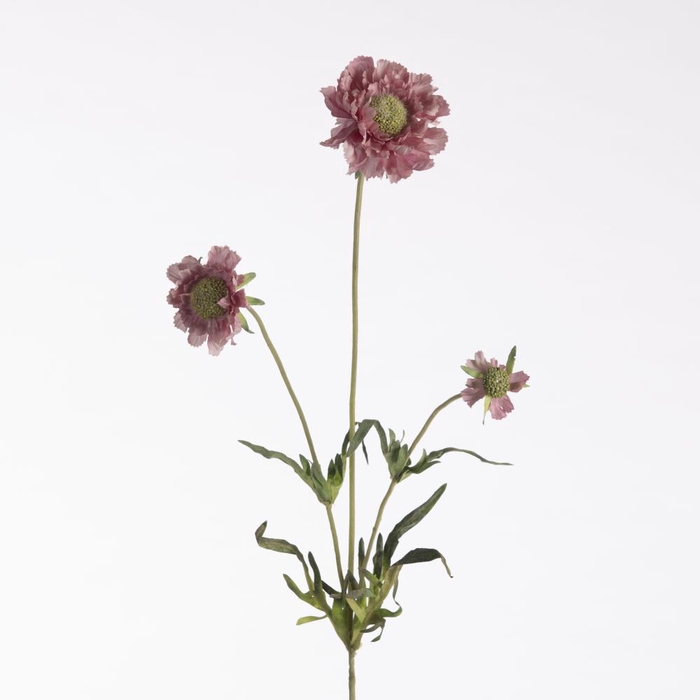 <h4>Af Scabiosa X3 L63cm Pink</h4>