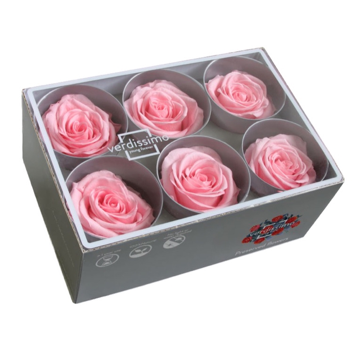 <h4>Roos standard roze</h4>