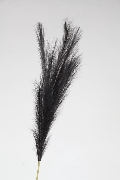 <h4>Af Pampas 100cm Black</h4>