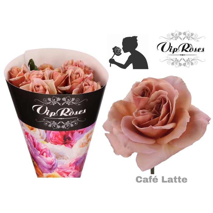 Vip Roses Webshop
