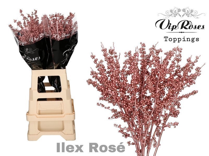 <h4>Ilex paint pink</h4>