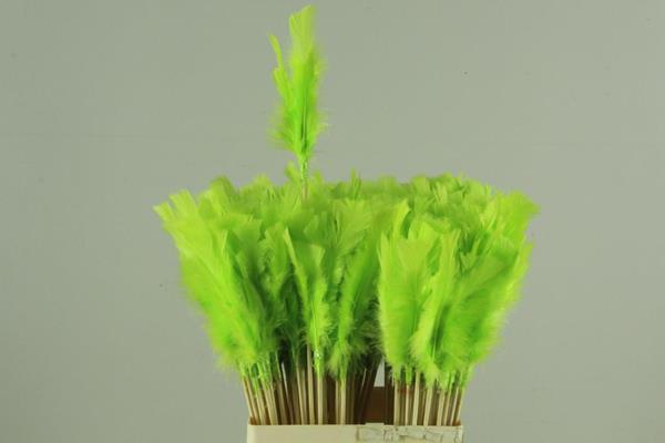 <h4>Stick Feather Lime Green</h4>