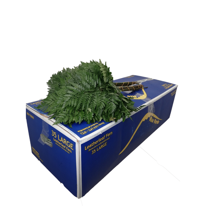 <h4>LEDERVAREN RIO VERDE EXTRA VP</h4>