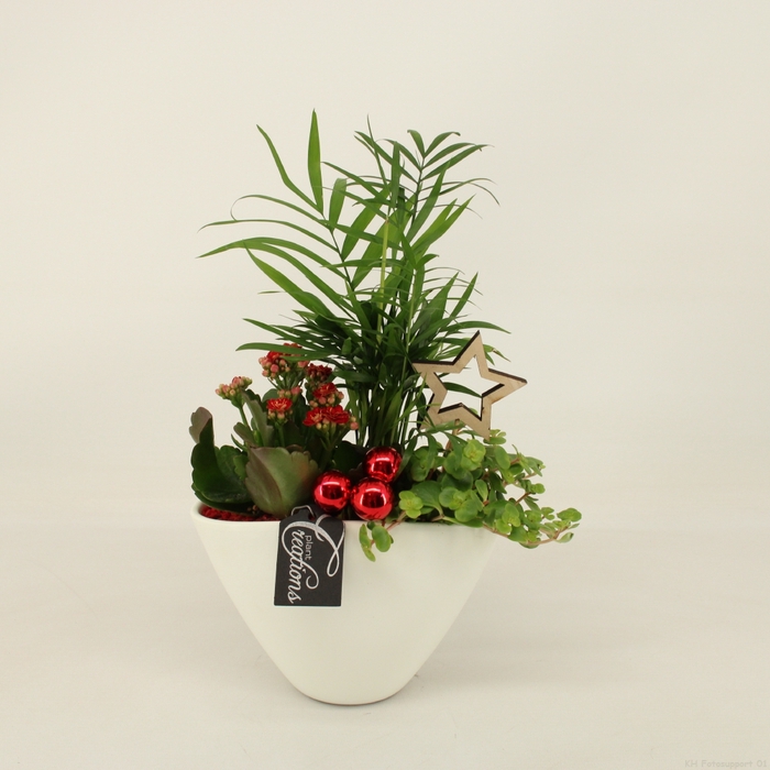 <h4>BAXM-2309R Xmas Fundamentals</h4>