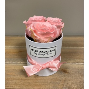 Box rd 10cm wit-roze