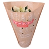 Euphorbia Wit Papier I'm Home hoes