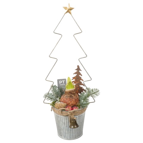 <h4>PTACH7963 Arrangementen Kerst</h4>