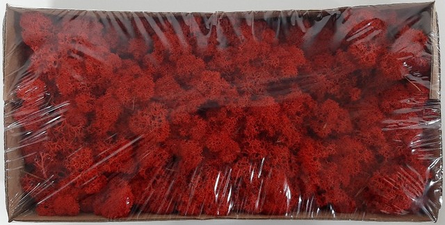 <h4>Moss iceland paint red</h4>