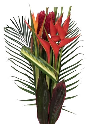 <h4>Bouquet exotic caribe flat</h4>