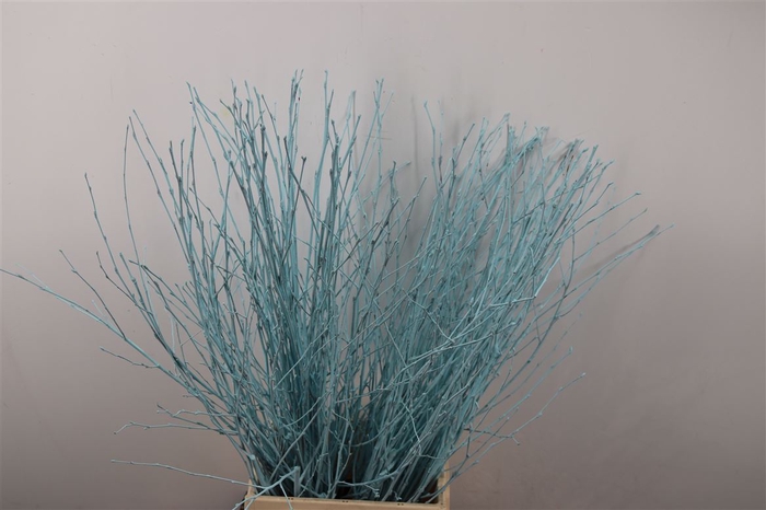 <h4>Berk Kort L. Blauw Pbs</h4>