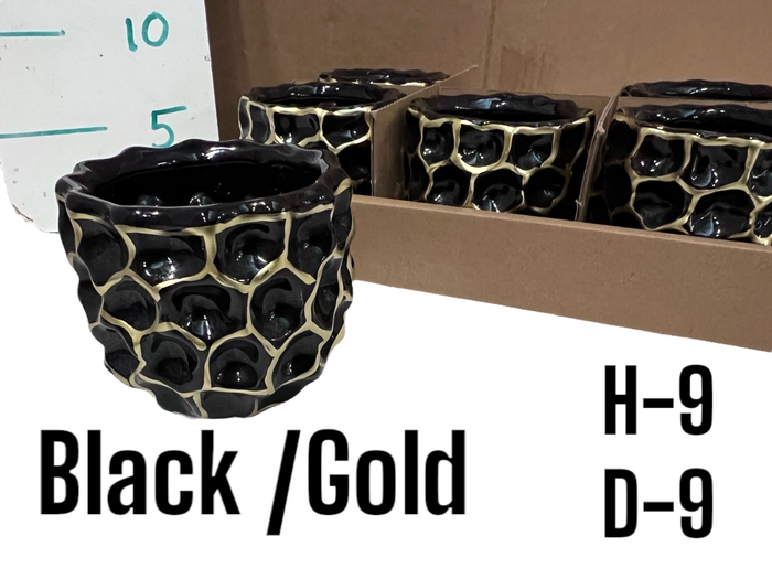 <h4>Potten Pot H%</h4>