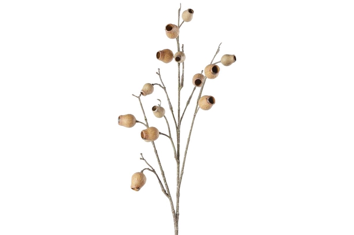 <h4>Af Eucalyptusbes L86cm L.bruin</h4>