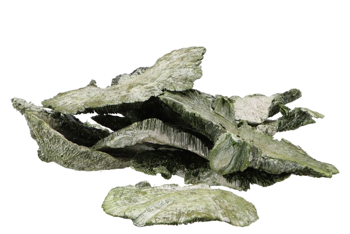 <h4>Natuur sponge mushroom appelgroen p/250 gram wk42</h4>