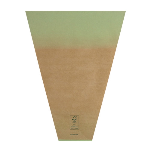 <h4>Hoezen Kraft Elm 50*30*10cm x50</h4>