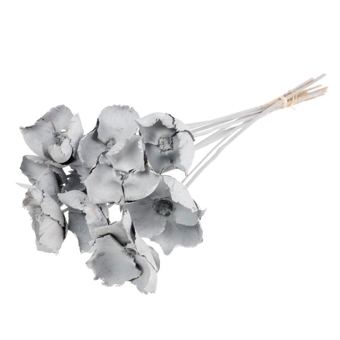 <h4>Palmcup o/s 10pc SB grey misty</h4>
