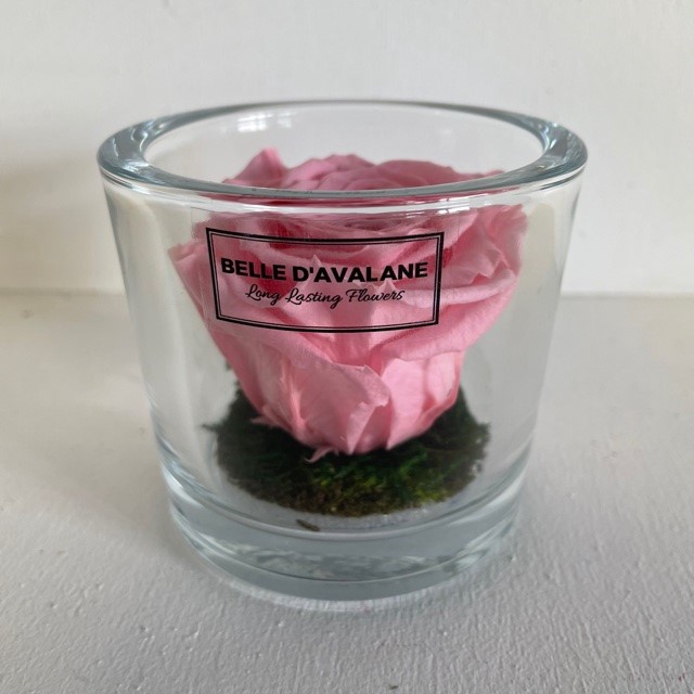 <h4>Cilinder d9x8h roze roos glas</h4>