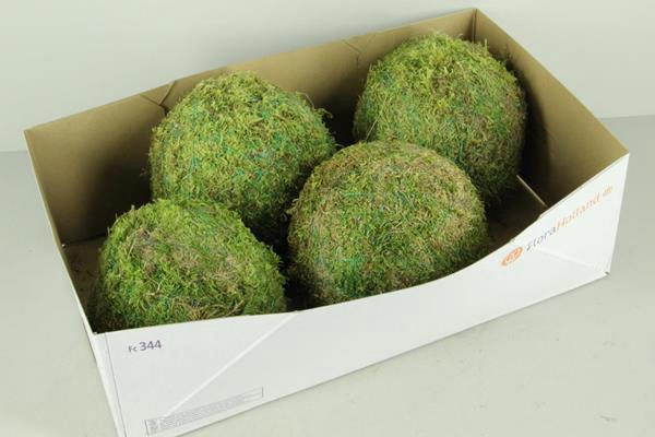 <h4>Ball Moss Green 20cm</h4>