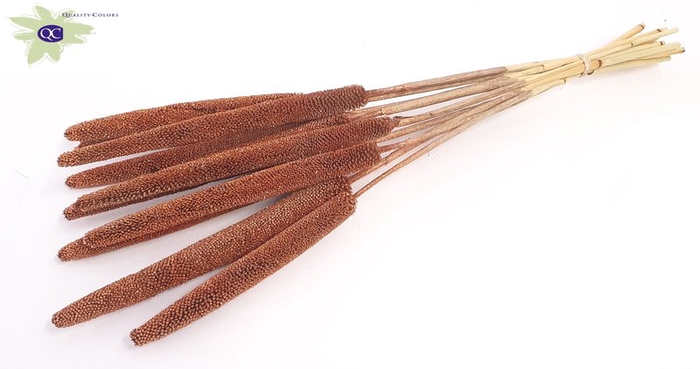 <h4>Babala on natural stem copper + glitter</h4>
