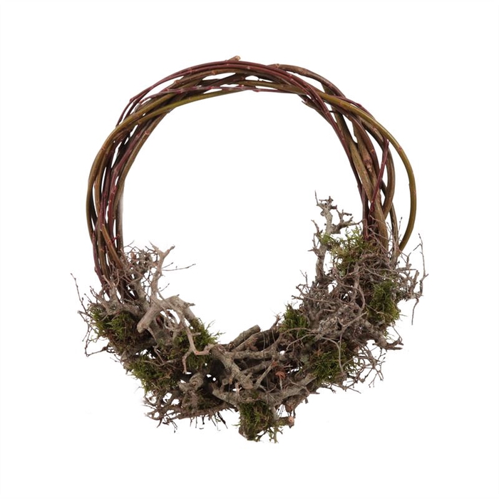 <h4>Krans Willow Bonsai Mos</h4>