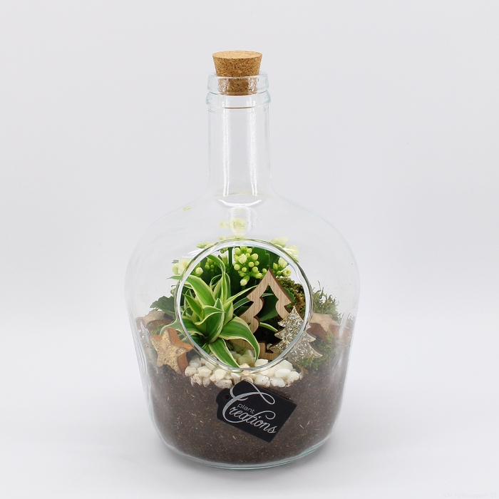 <h4>XMAS-23046 Kerst creatie terrarium</h4>