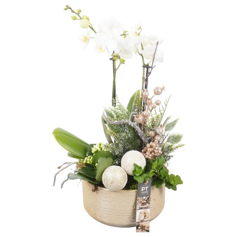 <h4>PTCHG5190 Arrangementen Kerst</h4>