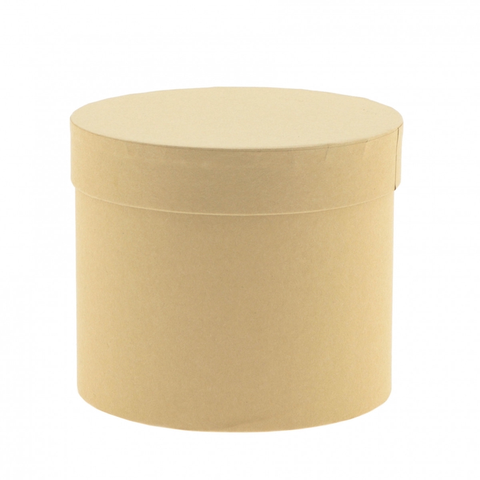 <h4>Boekethouder Hatbox karton d15*13cm</h4>