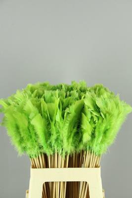 <h4>Stick Feather Apple Green</h4>