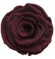 <h4>Rose Red Wine Elegant pres.</h4>