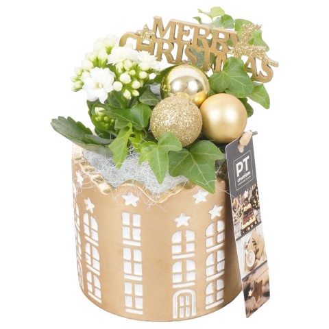 <h4>PTCHG5166 Arrangementen Kerst</h4>