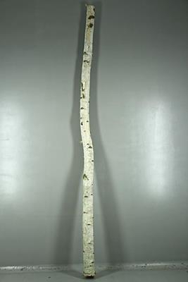 <h4>Birch Trunk 4-6cm 300cm</h4>