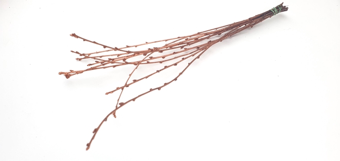 <h4>Avium branches lgt 40cm 10 stems per bunch Copper</h4>