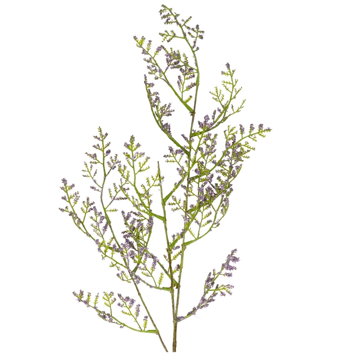 <h4>Opruiming Limonium spray 90cm</h4>