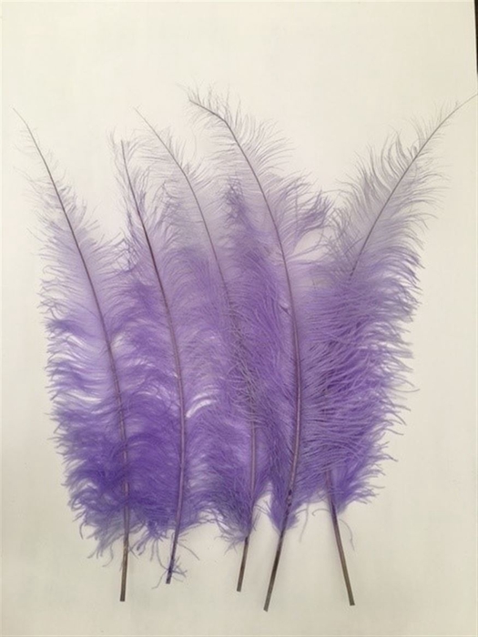 <h4>Basic Ostrich Feathers 55cm 5 Pcs Lilac</h4>