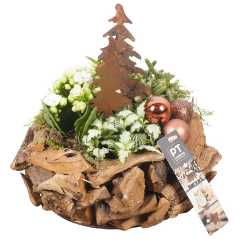 <h4>PTCHB6085 Arrangementen Kerst</h4>