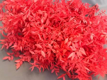 <h4>Dried ruscus paint coral</h4>